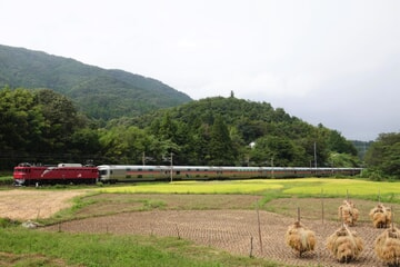 【JR東】EF81-80牽引カシオペア紀行返却回送運転