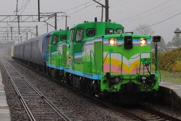 【JR北】伊豆急行『THE ROYAL EXPRESS』の牽引機にノロッコ塗装の重連が充当