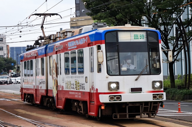 【福鉄】フクラムの貸切電車企画が福井鉄道モ770形モ772-773号で運転を不明で撮影した写真