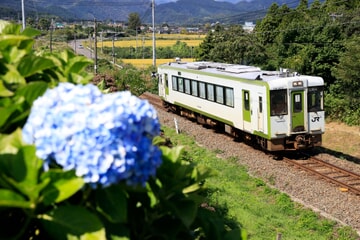 【JR東】キハ110-223郡山総合車両センター入場回送