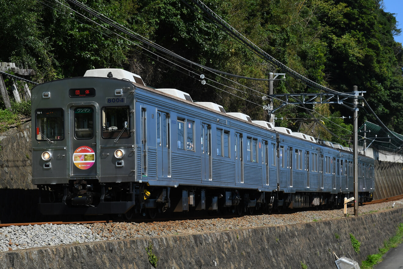 【伊豆急】無ラッピング化された8000系TB-4編成 団体専用列車「懐かしの東急8000系ツアー」の拡大写真