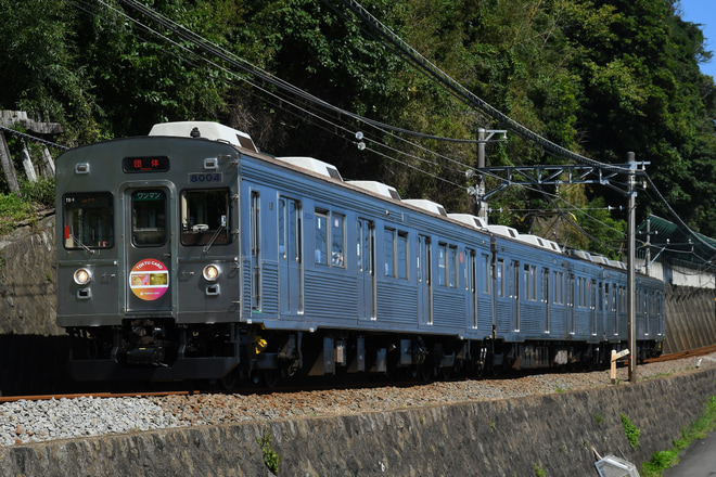 【伊豆急】無ラッピング化された8000系TB-4編成 団体専用列車「懐かしの東急8000系ツアー」