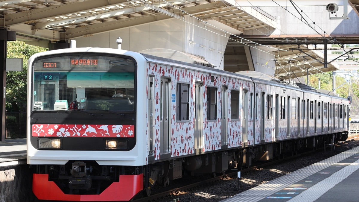 伊豆急】快速「アロハ電車」を臨時運行 |2nd-train鉄道ニュース