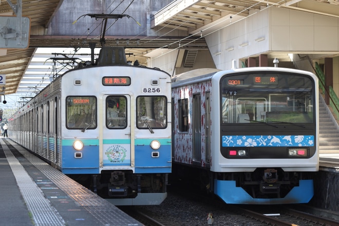 【伊豆急】快速「アロハ電車」を臨時運行を不明で撮影した写真