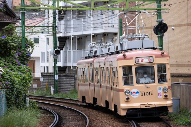 【広電】「3100形直通色復元記念ツアー」を催行 