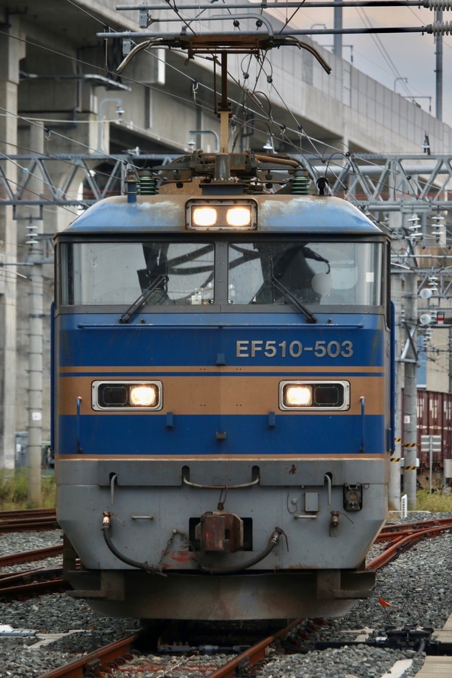 【JR貨】「『てつどう×かんきょう』フェスタinふくい」開催を南福井駅で撮影した写真
