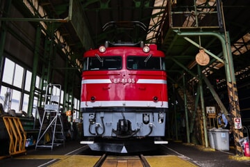 【JR東】田端運転所 機関車見学会(20221022)EF81パート