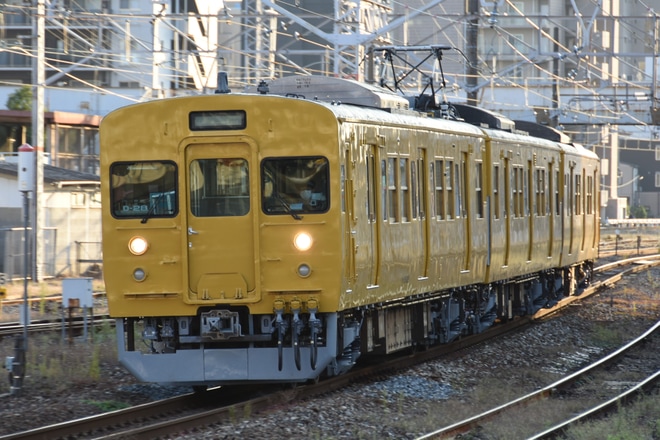 【JR西】115系D-28編成下関総合車両所出場回送(202210)を倉敷駅で撮影した写真