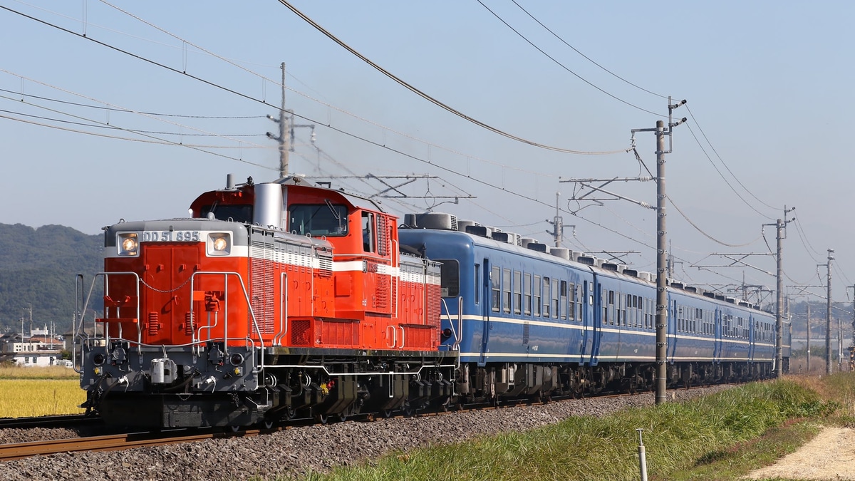大横綱照國生写真 両国にオープン!! 【 相撲ランド 】 @sumoland_tokyo_ryogoku 第