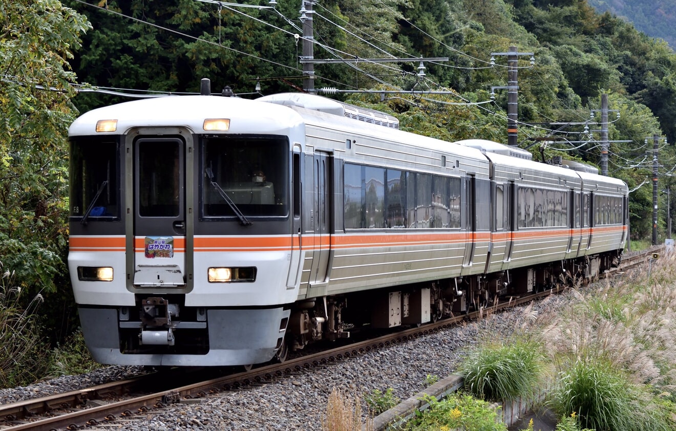 【JR海】特急「奥山梨 はやかわ」を臨時運行の拡大写真