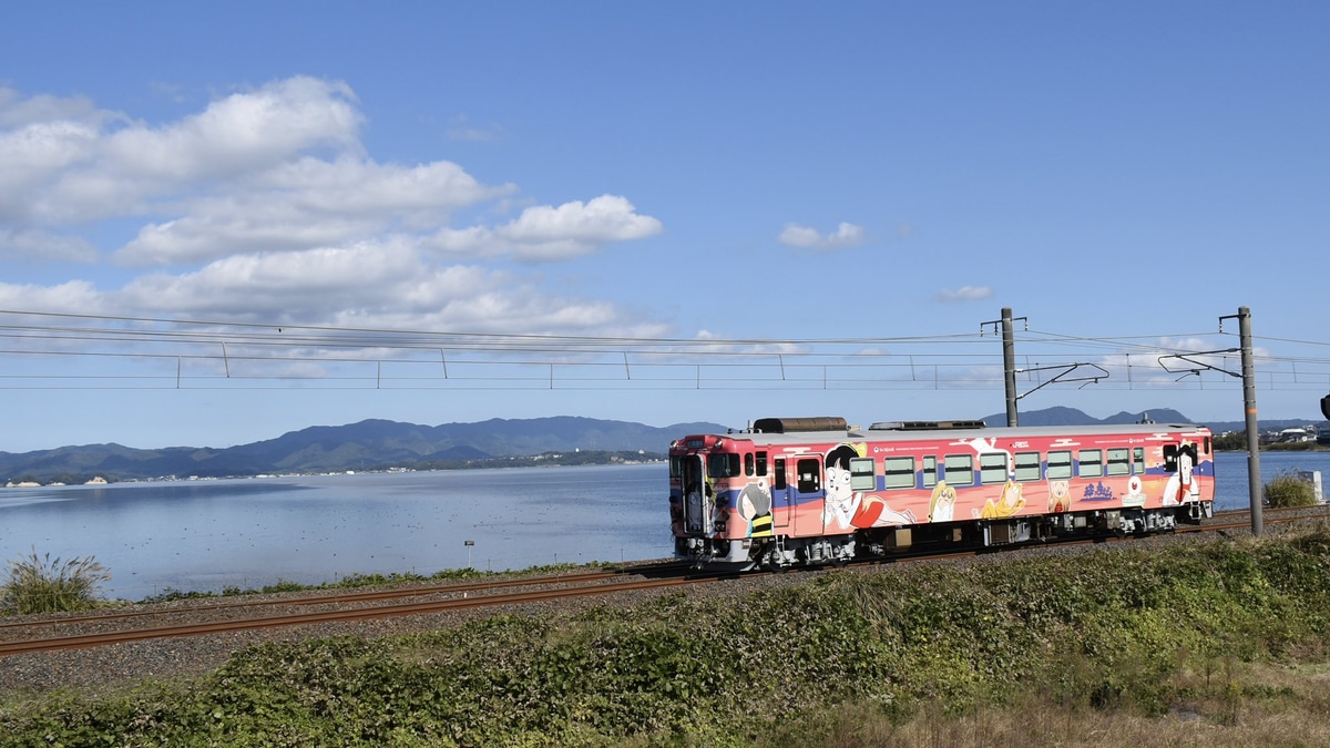 JR西】キハ40-2095(3代目「ねこ娘」ラッピング車) 後藤総合車両所本所