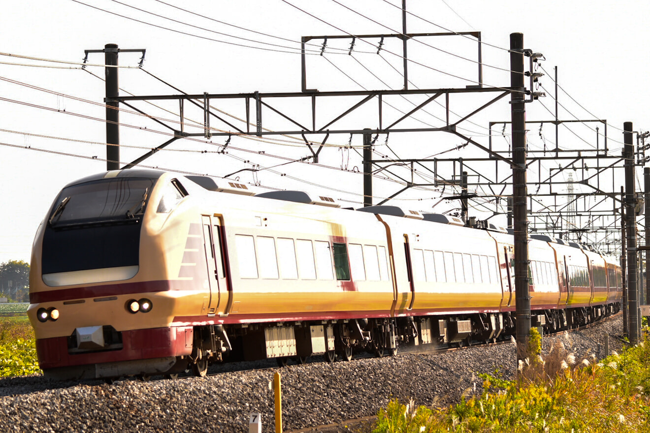 【JR東】E653系国鉄色特急「とき」を臨時運行の拡大写真