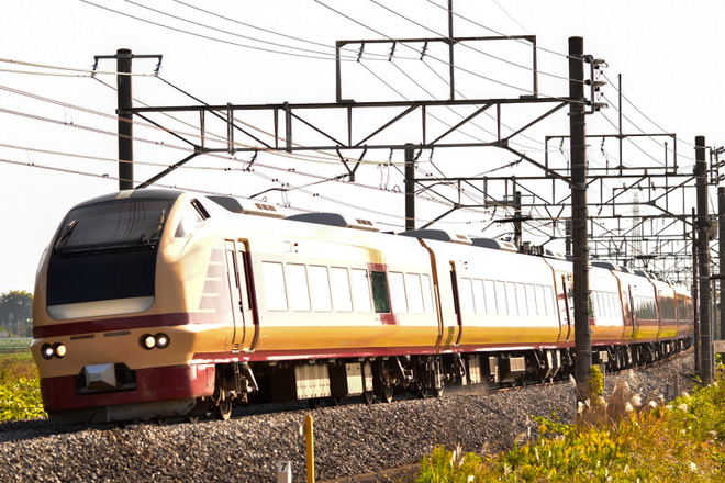 【JR東】E653系国鉄色特急「とき」を臨時運行を岡部～本庄間で撮影した写真