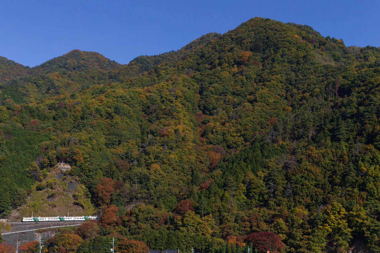 【JR東】「185系で行く秋の松本 新宿⇔松本日帰りの旅」ツアーを催行の拡大写真