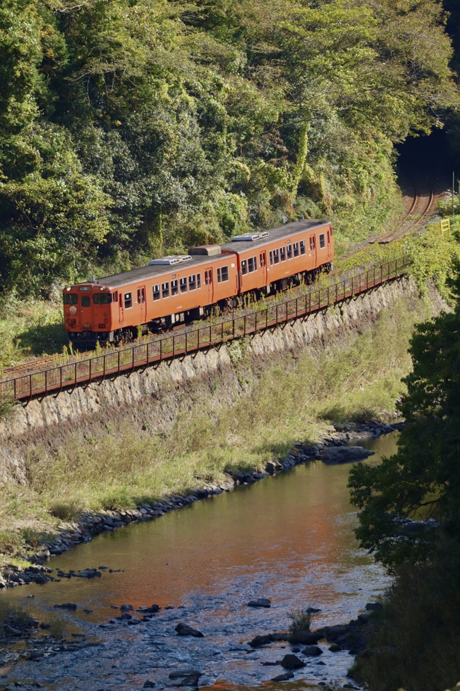 【JR西】キハ47形2両「お笑い列車IN美祢線」を不明で撮影した写真