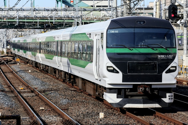 【JR東】257系5000番台宮オオOM-92編成幕張車両センターへ回送を大宮駅で撮影した写真