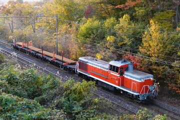 【JR貨】HM付のDE10-1591牽引の石巻みなと向けレール輸送