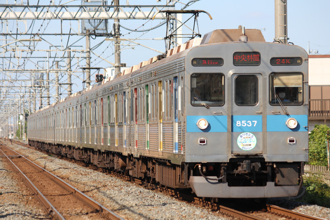 【東急】東武スカイツリーラインでのデジタル無線使用開始に伴い8637Fの東武線乗り入れが終了かを姫宮駅で撮影した写真