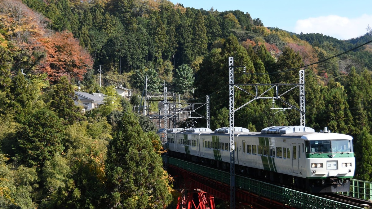 JR東】185系B6編成使用の「青梅線沿線・奥多摩地酒列車モニター