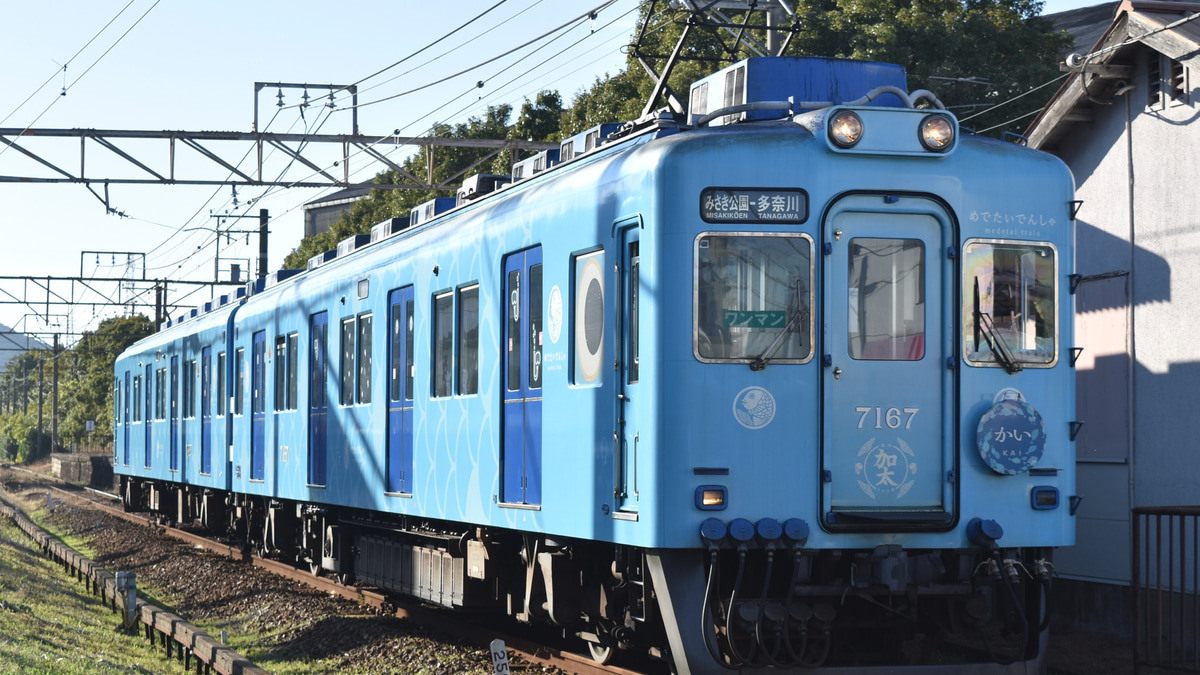南海】7100系7167F(めでたいでんしゃ「かい」)が多奈川線運用に 南海】7100系7167F(めでたいでんしゃ「かい」)が多奈川線運用に