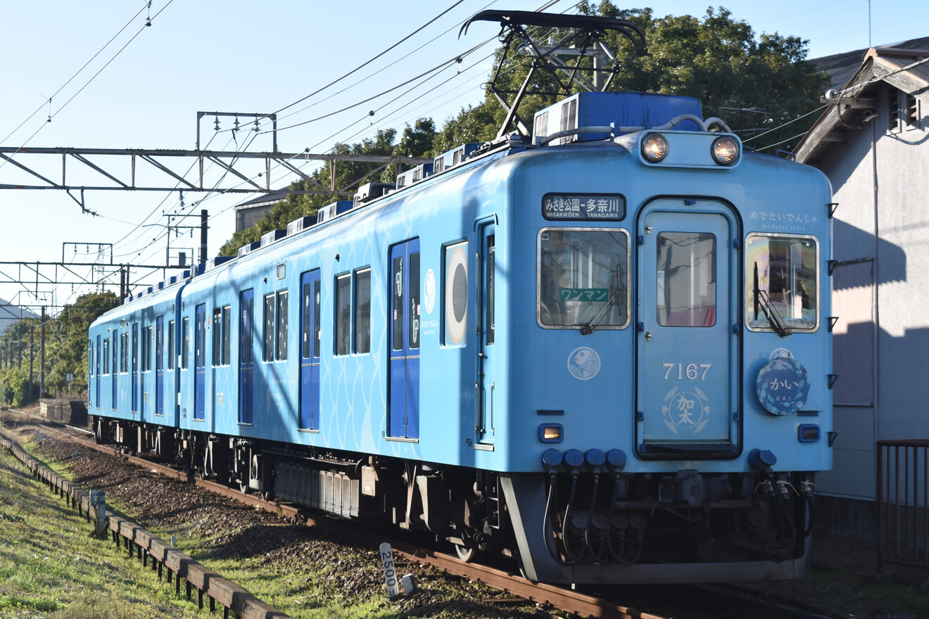【南海】7100系7167F(めでたいでんしゃ「かい」)が多奈川線運用に充当の拡大写真