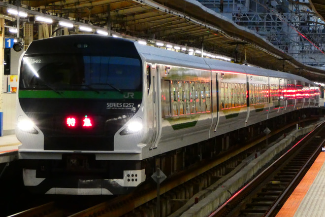 【JR東】E257系5000番台使用 特急湘南国際マラソン号運転を横浜駅で撮影した写真