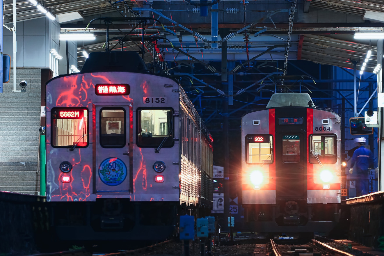 【伊豆急】8000系TB-4編成を使用した団体臨時列車の拡大写真