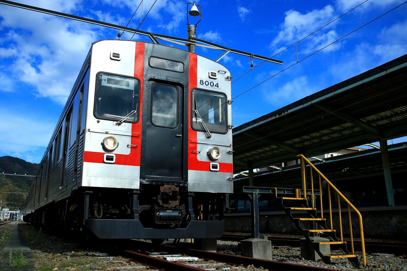 【伊豆急】8000系TB-4編成を使用した団体臨時列車の拡大写真
