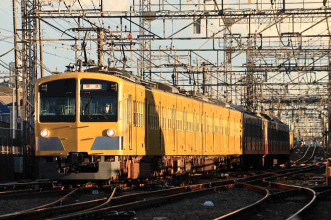 【西武】新101系1247F（赤電色）多摩川線から甲種輸送を西所沢駅付近で撮影した写真