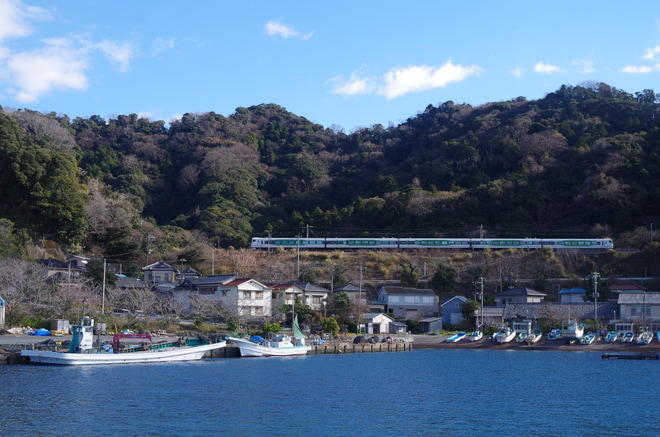 【JR東】特急「新宿さざなみ81号」臨時運行を富浦～岩井間で撮影した写真