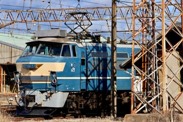 【JR貨】EF66−27が構内入換(20230105)