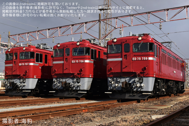 【JR東】「仙台車両センター主催 ED75形交流電気機関車撮影会」開催を仙台車両センターで撮影した写真