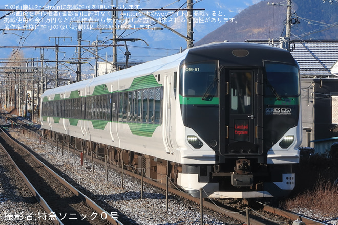 【JR東】E257系5500番台OM-51使用の臨時特急「花咲くあたみ満喫号」運転(2023)