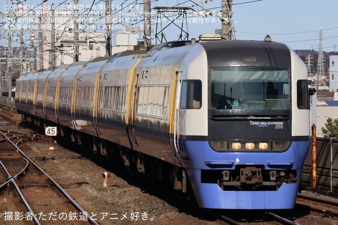 【JR東】特急「ビューわかしお」を臨時運行を茂原駅で撮影した写真