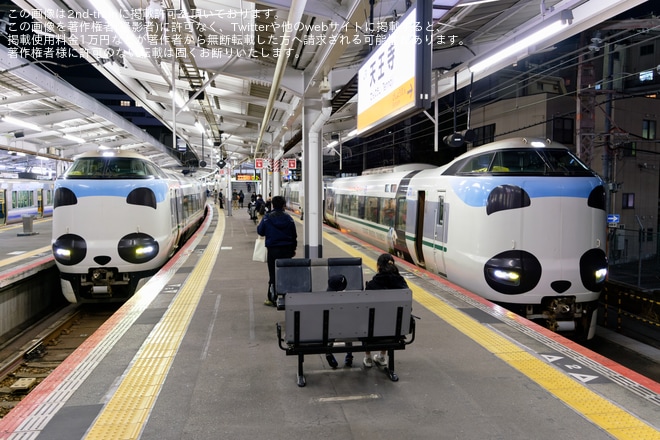 【JR西】大阪駅地下ホーム線路切り替えによるくろしお号一部区間運休を天王寺駅で撮影した写真