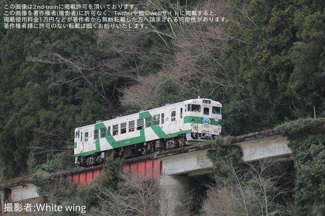 【錦川】錦川鉄道でキハ40-1009が貸し切りを不明で撮影した写真
