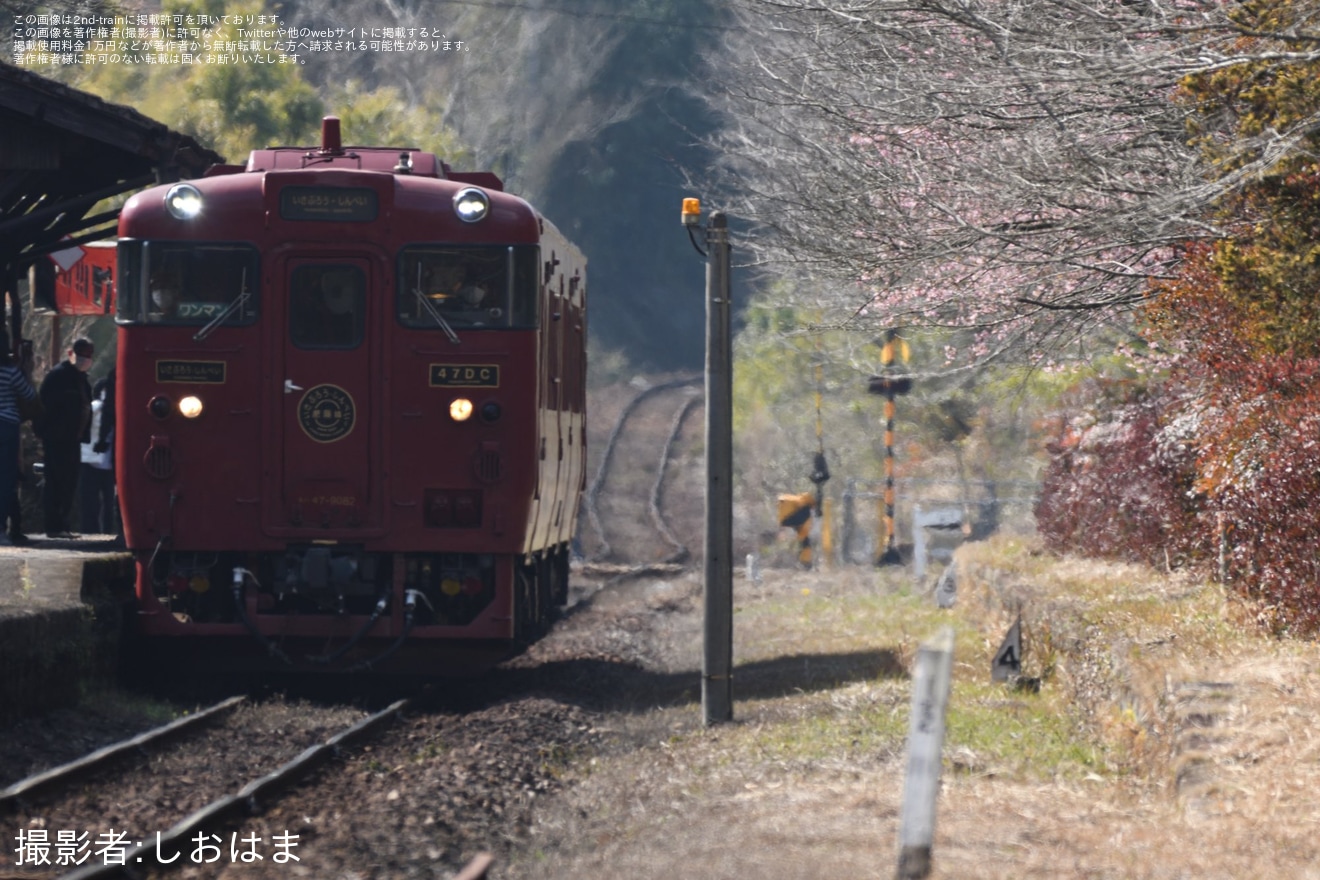 【JR九】吉都線には初入線「みやざき鉄道PR大使『田代剛』と特急『いさぶろう・しんぺい』で行く日帰りツアー」を催行の拡大写真