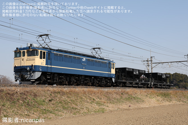 【JR東】EF65-1103牽引宇都宮配給を蓮田～東大宮間で撮影した写真