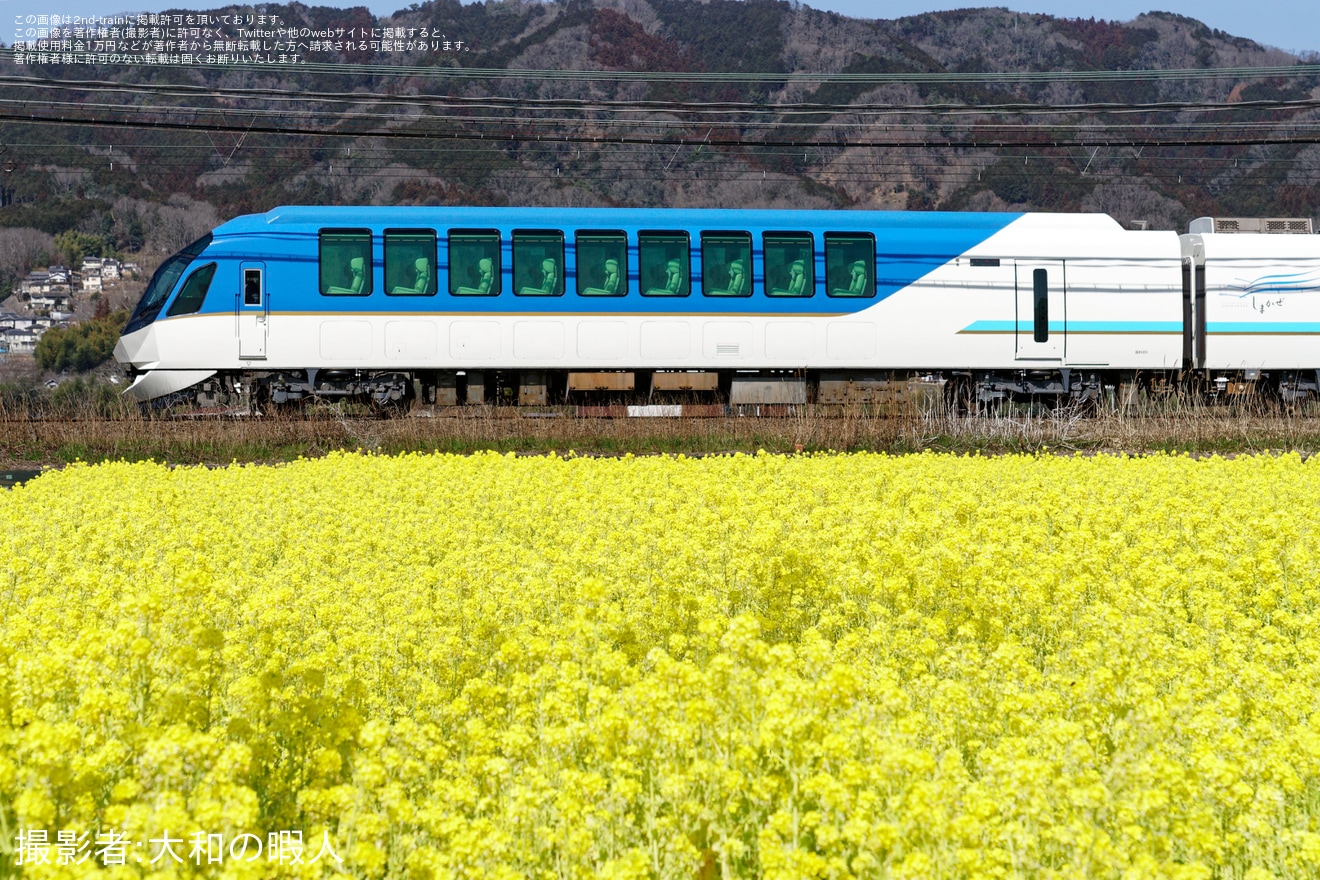 【近鉄】50000系SV01五位堂検修車庫出場試運転の拡大写真