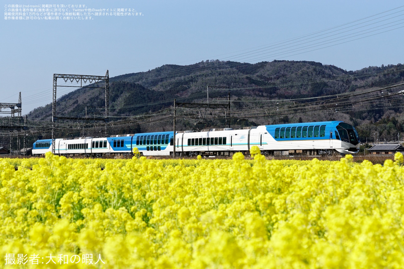 【近鉄】50000系SV01五位堂検修車庫出場試運転の拡大写真