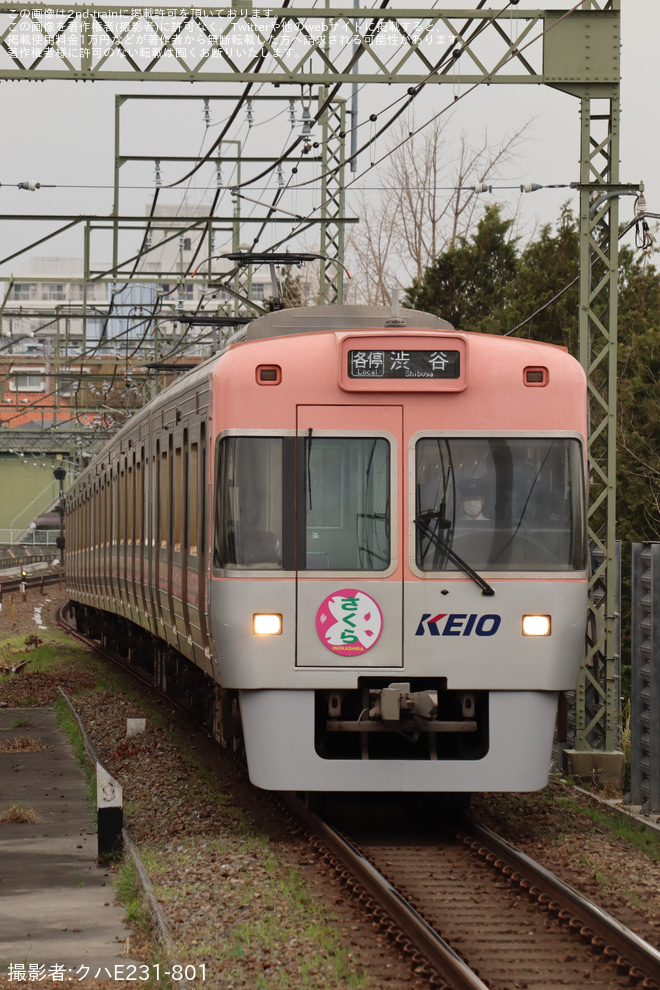 【京王】1000系1753F『さくら』ヘッドマーク揭出(2023)を高井戸駅で撮影した写真