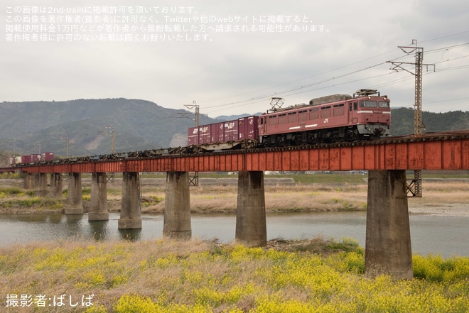 【JR貨】延岡まで(から)運転される定期貨物列車からEF81が撤退を不明で撮影した写真