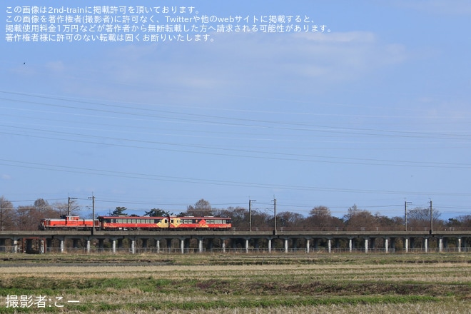 【JR西】キハ48-4+ キハ48-1004「花嫁のれん」京都鉄道博物館展示返却を不明で撮影した写真