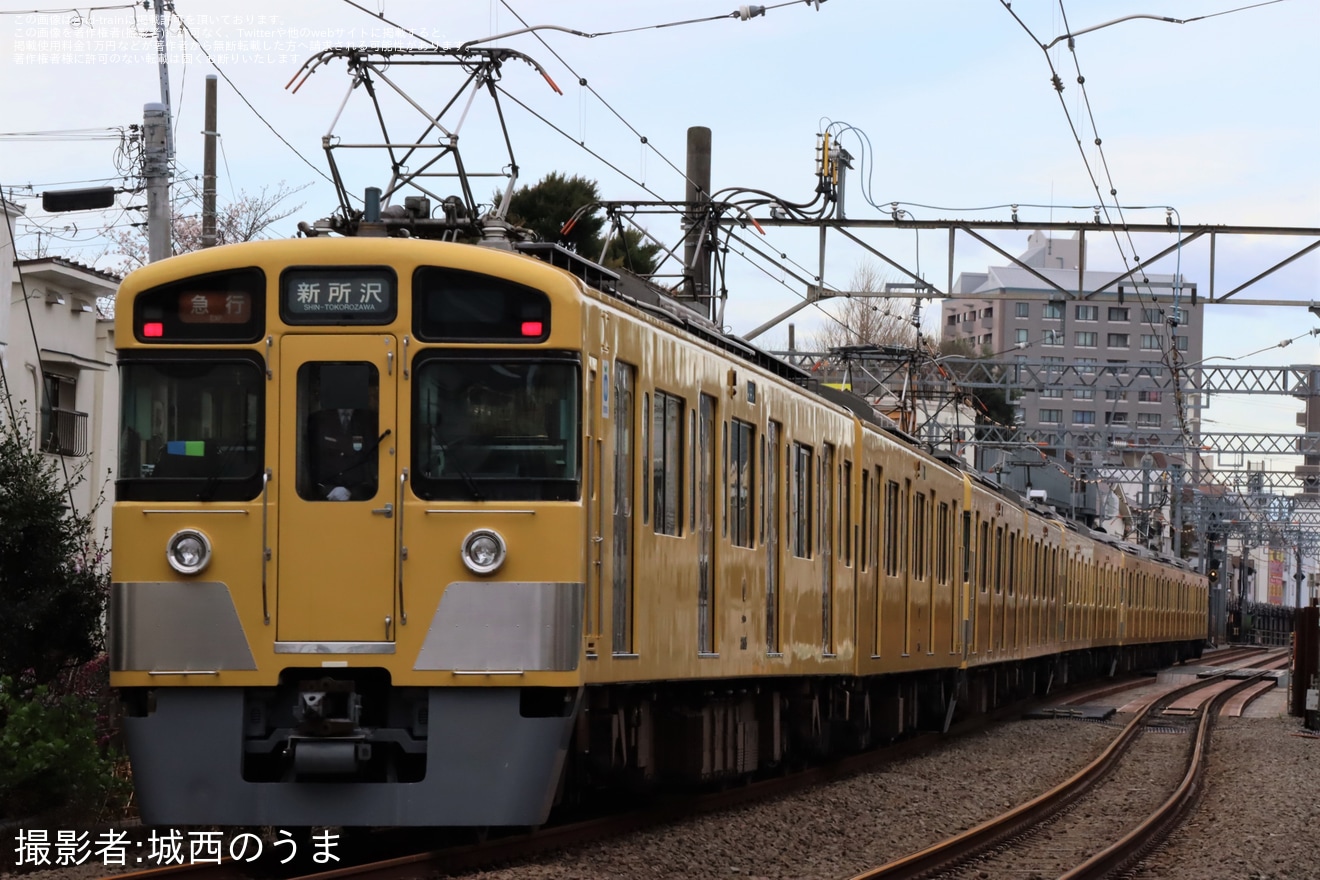 【西武】10両編成中8両が先頭車の2000系が新宿線で運転の拡大写真