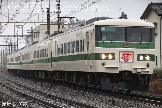 【JR東】特急「とちぎ1号」を臨時運行を不明で撮影した写真