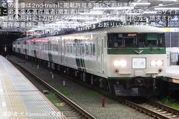 【JR東】185系B6編成「ミステリートレインこがねい号」が運転