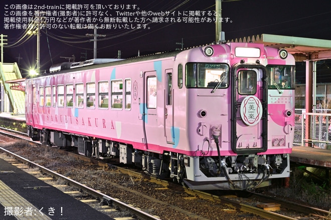 【JR西】「SAKU美SAKU楽 夜桜号」を臨時運行を不明で撮影した写真