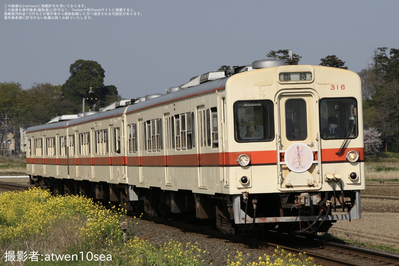 【関鉄】『関鉄「お花見ビール列車」』が運転の拡大写真
