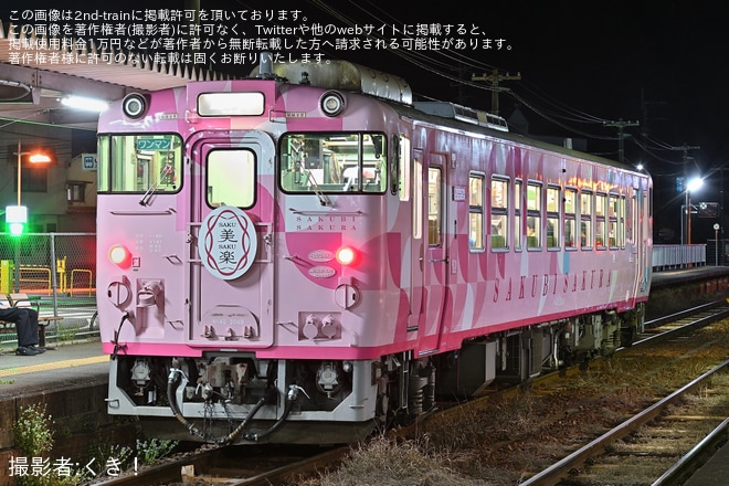 【JR西】「SAKU美SAKU楽 夜桜号」を臨時運行を不明で撮影した写真