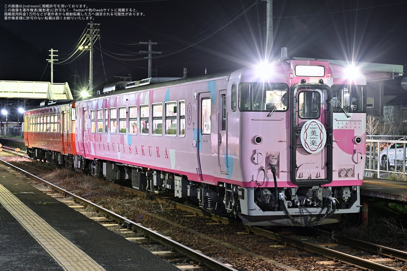 【JR西】「SAKU美SAKU楽 夜桜号」を臨時運行の拡大写真